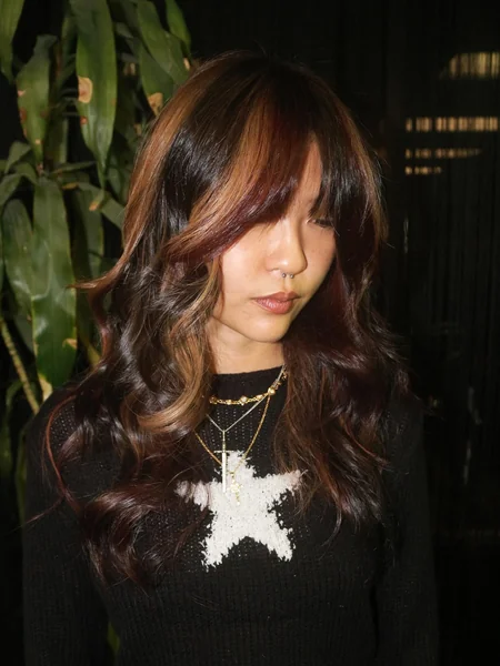 Dark Brown Calico with Subtle Auburn Patches