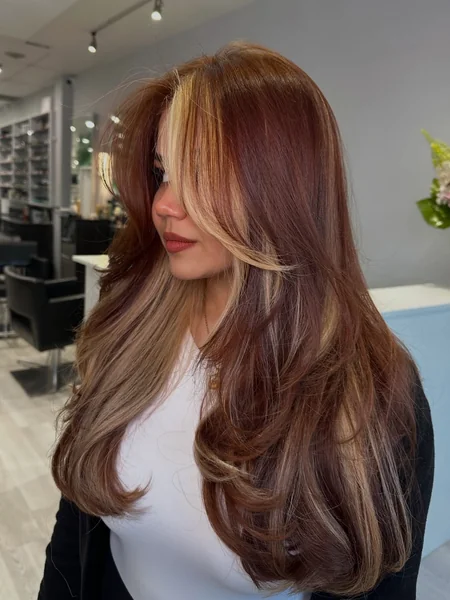 Blue Calico Hair with Dark Brown & Blonde Highlights