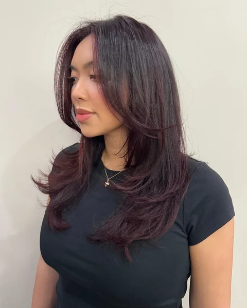 Middle Part Burgundy Layered Hair
