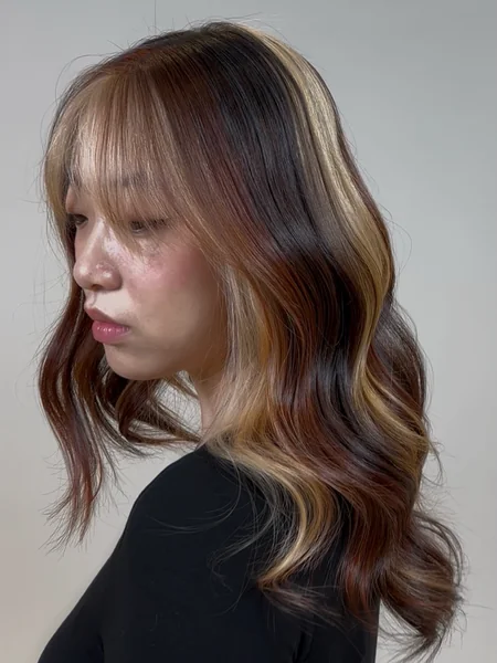 Subtle Calico Hair on Brown with Blonde Face Frame
