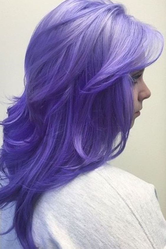 Lavender Dreams Lavender Dreams