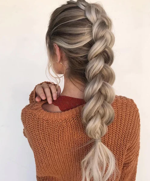 Single Chunky Dutch Braid Down the Back