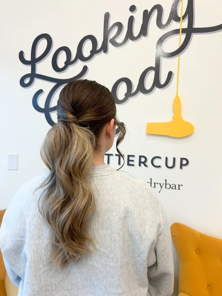 Sleek Low Ponytail with Wavy Blonde Highlights