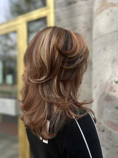 Soft Brown Calico Hair on Layered Shag