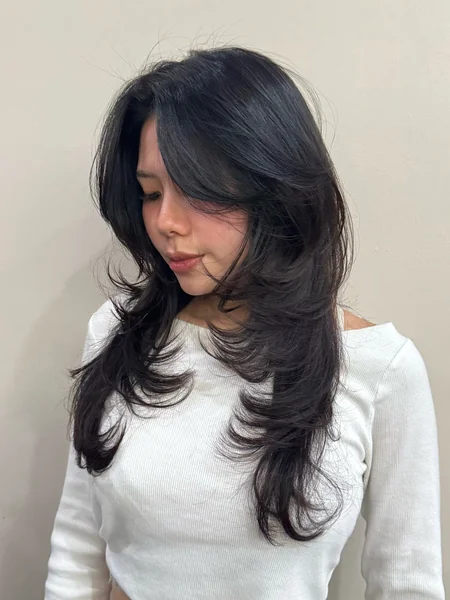 Middle Part Dark Brown Layered Long Hair