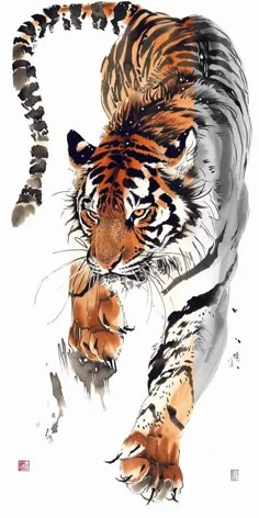 This may contain: a painting of a tiger walking across a white ground with its paw in the air