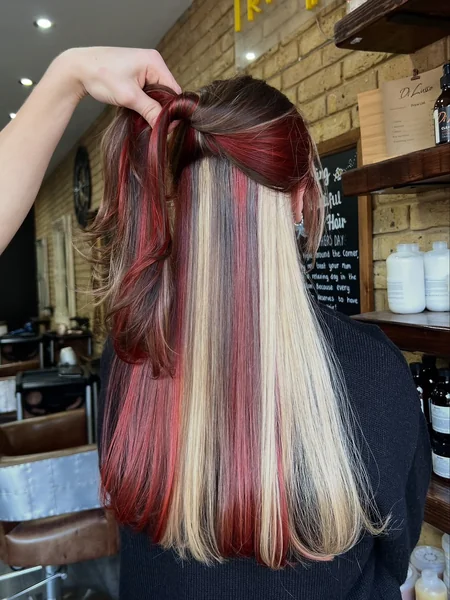 Dark Calico with Red and Blonde Panels Half-Up