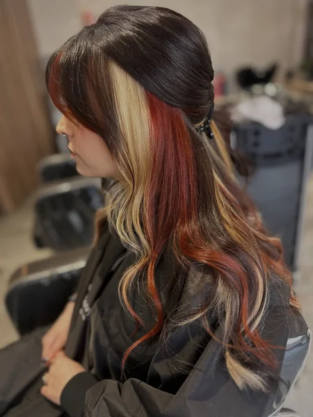 Calico Hair Color Placement on Black with Copper & Blonde
