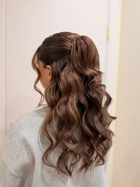 Sleek Half Up Ponytail Twist on Brunette Hair