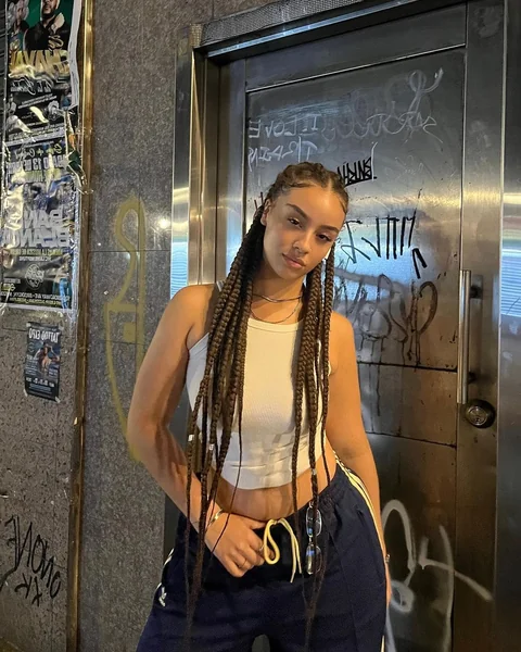 Long Brown Box Braids with Cornrow Top