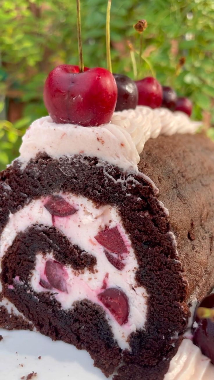 Chocolate Cherry Cake Roll