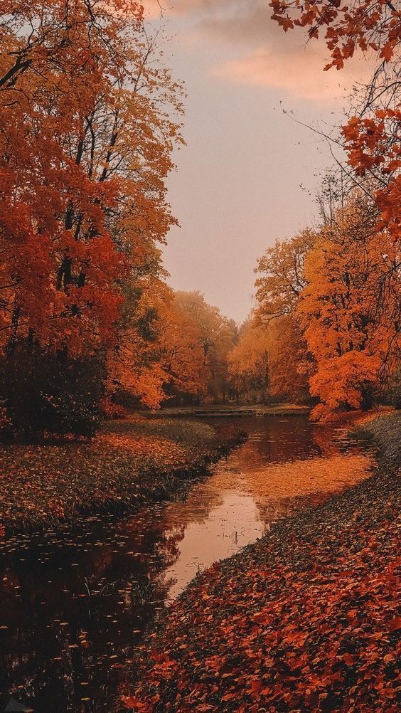 50 Free Amazing Fall Wallpapers For iPhone