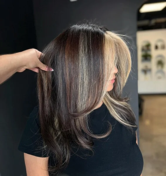 Dark Calico with Blonde Patches and Layered Cut