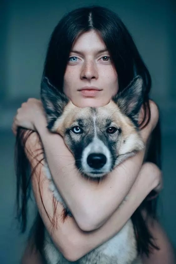 Ethical Considerations Dog