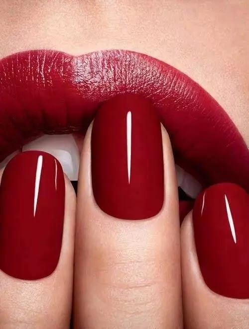 Classic Red Elegance Classic Red Elegance