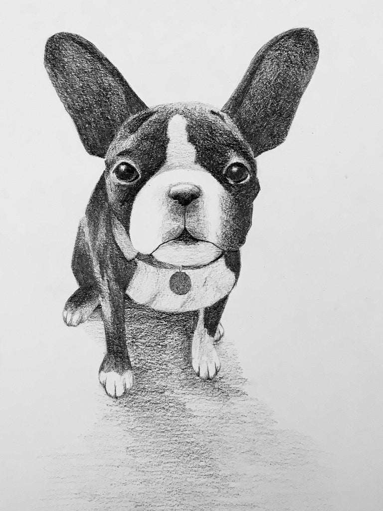 Guide on How to Draw Animals – Etchr Lab