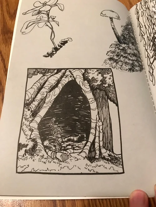 Sketchbook Tour: Foliage — Britny Arnett