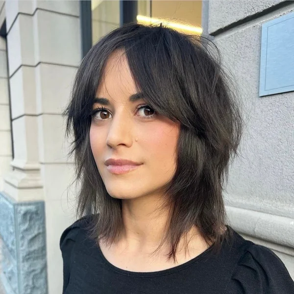 Modern Dark Brown Shag with Curtain Layers