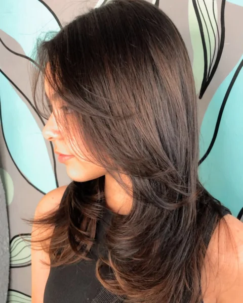Sleek Brunette Long Shag with Voluminous Layers