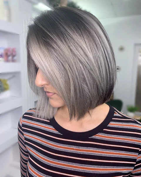 Sleek Silver Chin Bob with Dark Root Melt