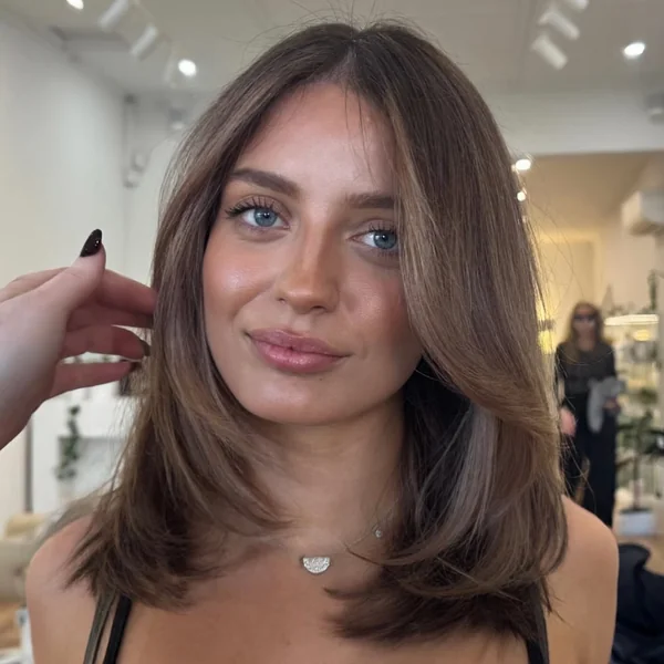 Soft Brown Layered Cut with Blended Ends