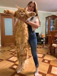 This may contain: a woman is holding an orange cat in her arms