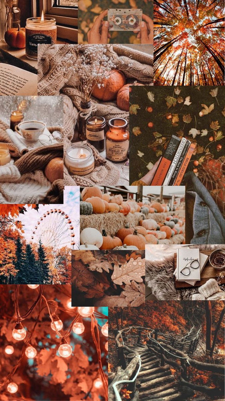30 Cute Brown Aesthetic Wallpapers for Phone : Fall Aesthetic Wallpaper I Take You | Haircuts, Hairstyles, Hair Colours, Home Decor to Wedding Ideas
