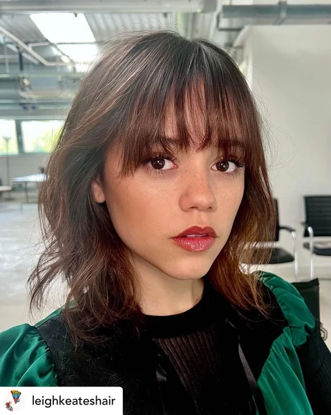 Chic Brunette Shag with Airy See-Through Bangs