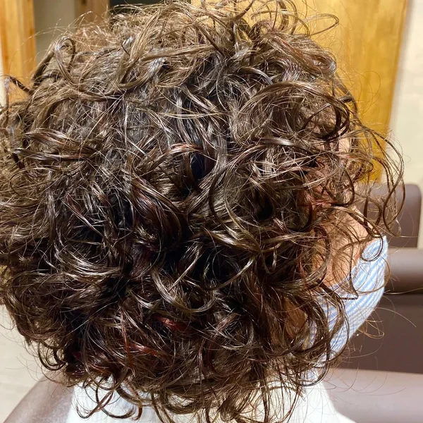 Curly Brunette Shaggy Bob with Glossy Ringlets