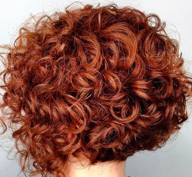 Deep Auburn Rounded Bob with Tightly Defined Ringlets