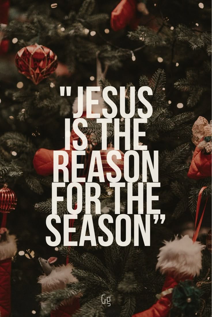 This may contain: a christmas tree with the words jesus is the reason for the season