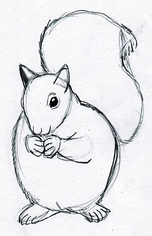 Drawing Animals With Fur