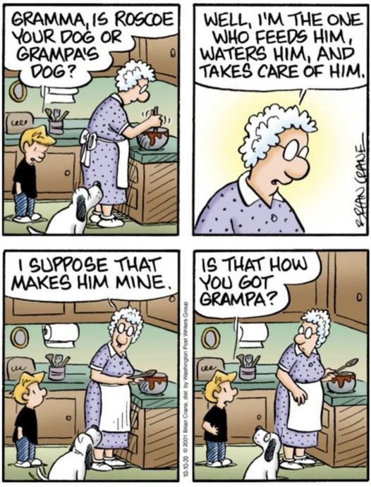 This may contain: a comic strip about grandma cooking with her dog