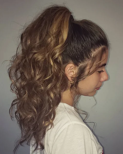 Effortless High Ponytail with Voluminous Brunette Curls