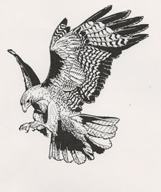 140 动物 ideas | animal art, sketches, drawings