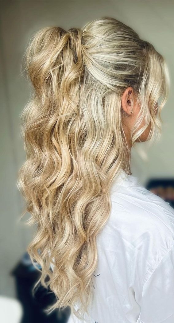 Half-Up Half-Down The Perfect Balance of Style and Comfort : Subtle Ponytail  Half Up