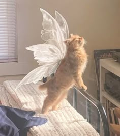 This may contain: a cat is standing on its hind legs and looking up at the angel wings above it