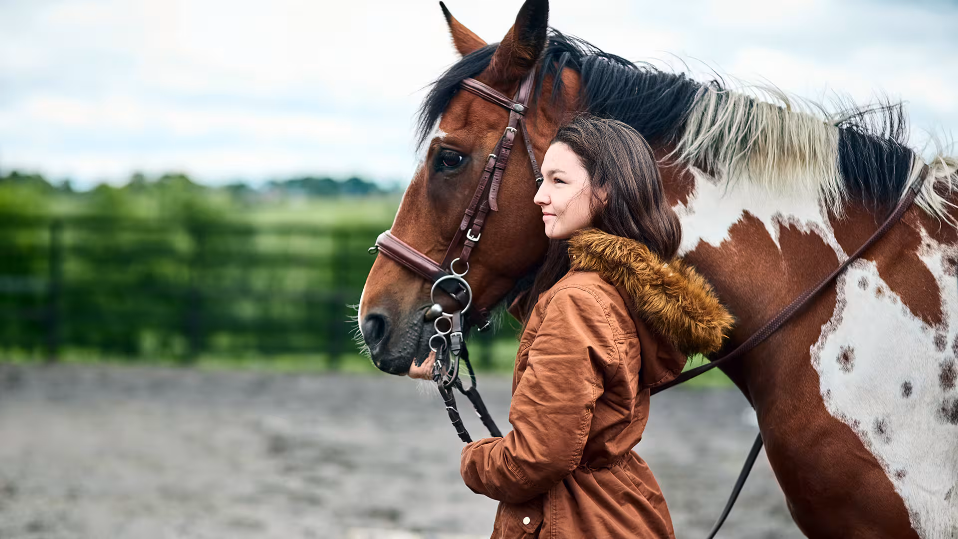 Meet the horse: The tiny tropical creature that evolved into our ...