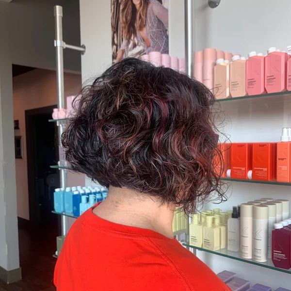 Sharp Brunette Inverted Bob with Glass-Like Shine