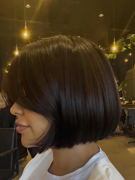 Sleek Espresso Bob with Soft Internal Layers
