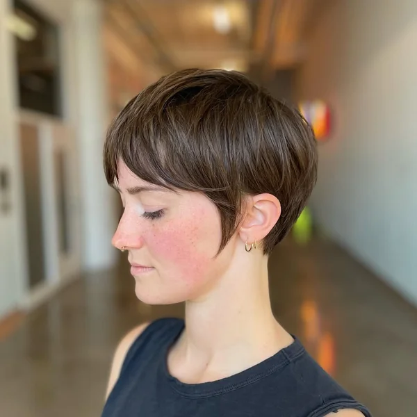Sophisticated Chocolate Brown Pixie with Soft Tapered Silhouette