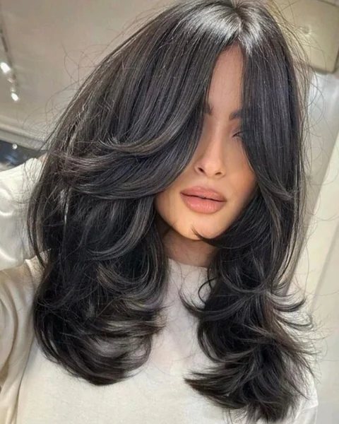 Voluminous Black Butterfly Haircut with Face-Framing Layers