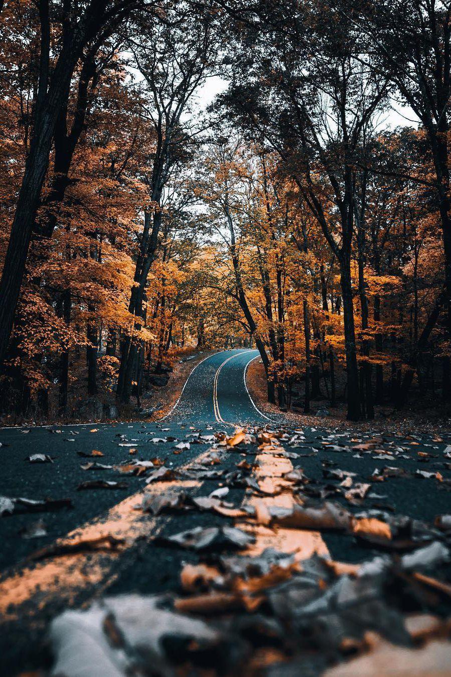 Cozy Autumn Aesthetic Wallpapers - Wallpaper Cave